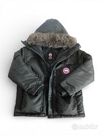 Canada goose