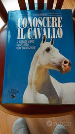 Conoscere il cavallo