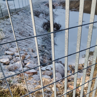 Lavoro - disponibile