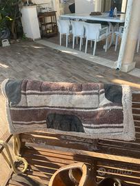 sella americana con sottosella