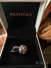 Charme Pandora
