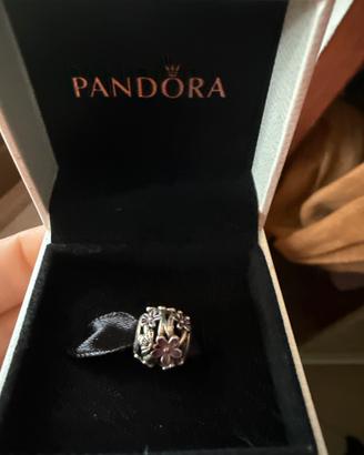 Charme Pandora