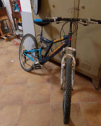 bicicletta 
