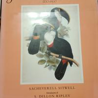 Grandi libri di uccelli 1700-1900