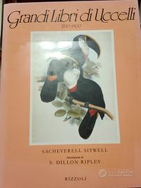 Grandi libri di uccelli 1700-1900