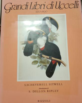 Grandi libri di uccelli 1700-1900