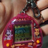 Bit bit il cucciolo Gig 