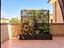 Immagine 10