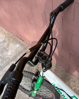 BMX usata