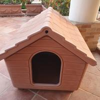 cuccia cane