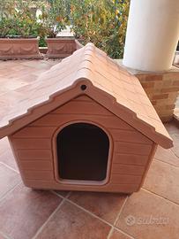 cuccia cane