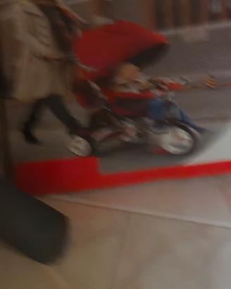 trio bicicletta passeggino