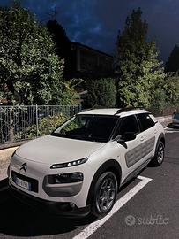 C4 cactus