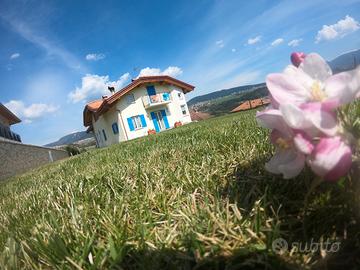 Relax da sogno in Trentino tra Dolomiti/Maddalene