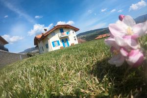 Relax da sogno in Trentino tra Dolomiti/Maddalene