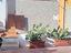 Immagine 12