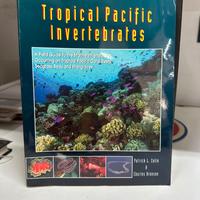 Tropic Pacific Invertebrates