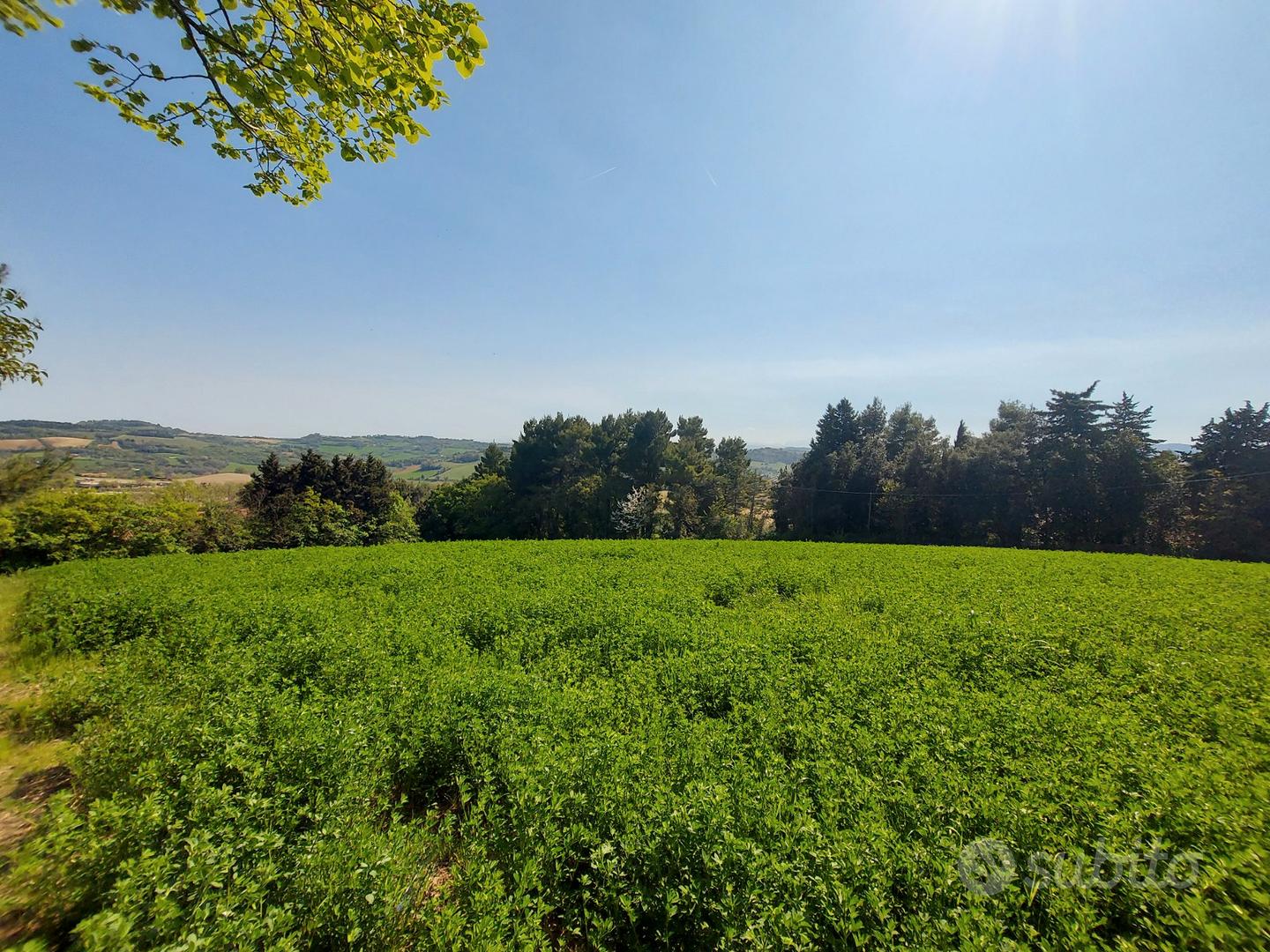 Casa – Fano, Pesaro e Urbino - Vista 2