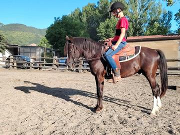 Super pony