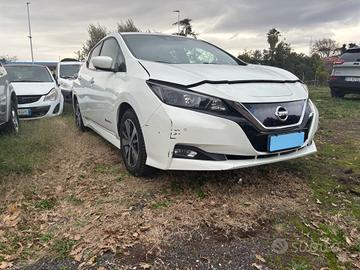 Nissan Leaf INCIDENTATA