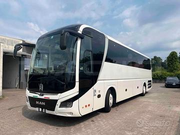 Man Lion's Coach