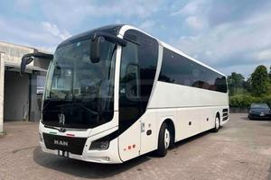 Man Lion's Coach