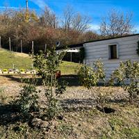 Terreno agricolo a reddito