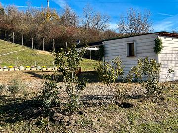 Terreno agricolo a reddito