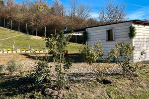 Terreno agricolo a reddito