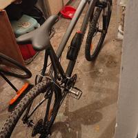 bicicletta mountain bike