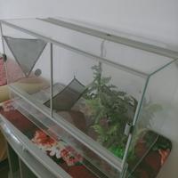 Teca con accessori (per rettili/gechi/lucertole)
