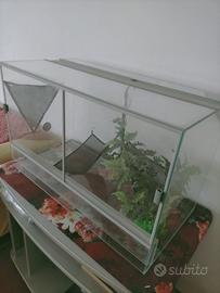 Teca con accessori (per rettili/gechi/lucertole)