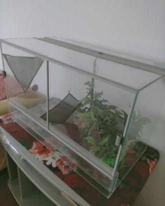 Teca con accessori (per rettili/gechi/lucertole)
