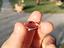 Immagine 2