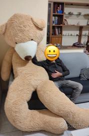 Orso gigante peluche