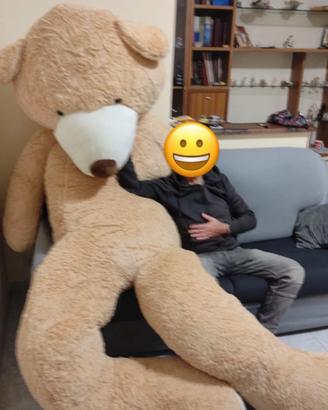 Orso gigante peluche