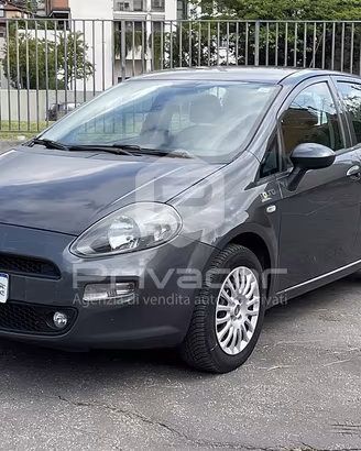 FIAT Punto 1.4 8V 5 porte Easypower Young