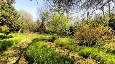 Oasi di Pace per rilassarti e coltivare hobby INTR