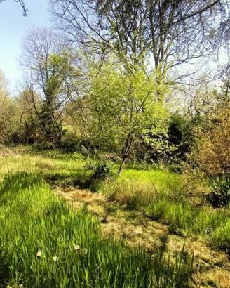 Oasi di Pace per rilassarti e coltivare hobby INTR