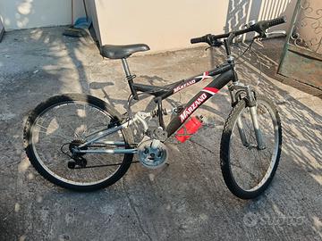 Bicicletta