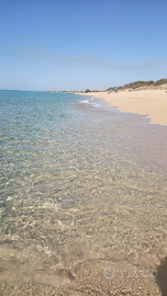 Salento San Pietro in Bevagna a 20 passi dal mare