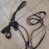 Testiera equitazione Horse Dream