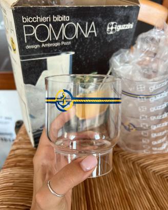 Portaghiaccio + 6 bicchieri Guzzini POMONA