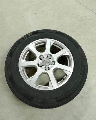 Ceechi e gomme