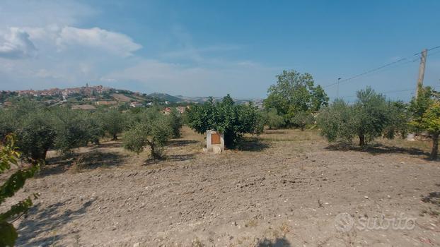 Terreno agricolo con annesso casolare