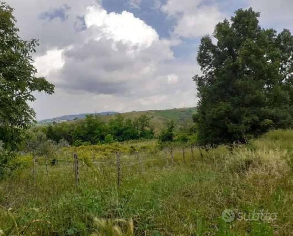 Immobile in asta di 2535 m² a Borgoratto Mormorolo - Vista 3