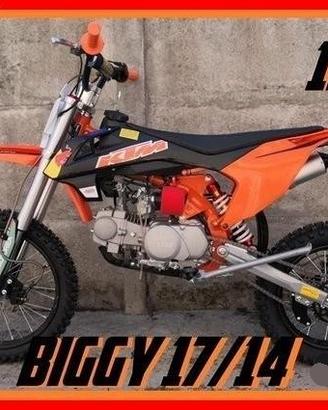 NUOVE Pit Bike 125 / 140 REPLICA KTM REDBULL 17/14