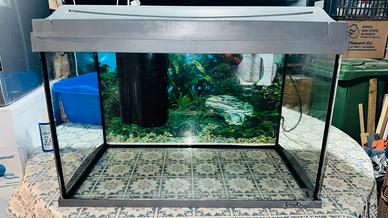 Acquario Tetra 60 litri + accessori + mobile