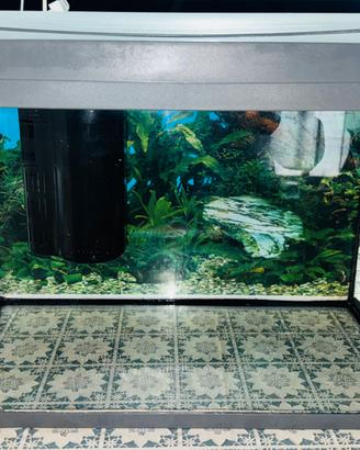 Acquario Tetra 60 litri + accessori + mobile