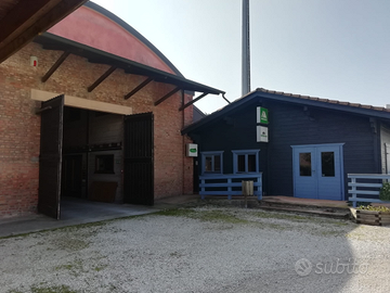 Fabbricato ad uso commerciale